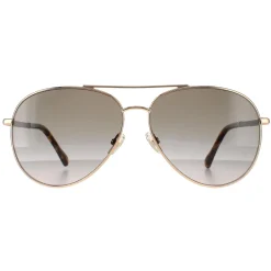 Jimmy Choo Aviator|Jimmy Choo^Sunglasses DEVAN/S 06J HA Gold Havana Brown Gradient